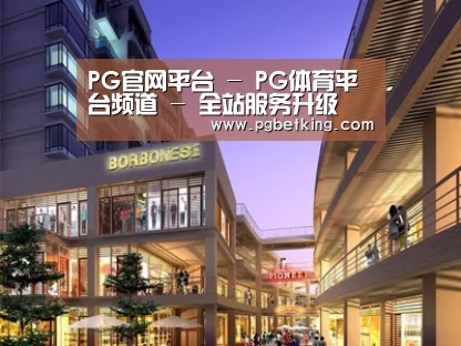 案例展示一