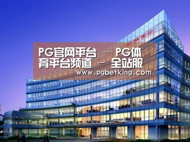 案例展示五