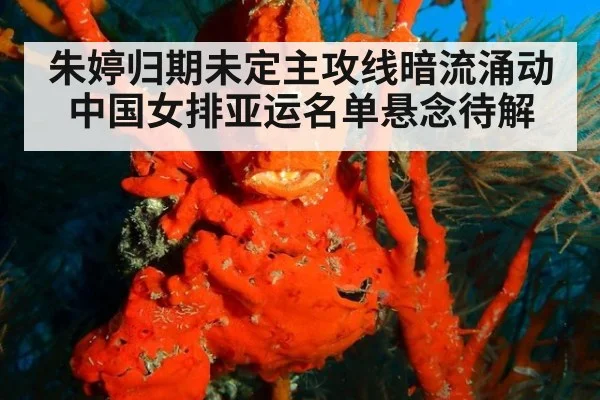 朱婷归期未定主攻线暗流涌动 中国女排亚运名单悬念待解